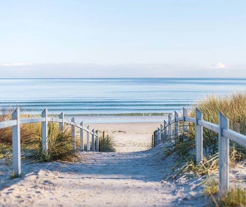 Ein langer, sandiger Gehweg umgeben von Natur zum Ostseestrand auf Rügen.