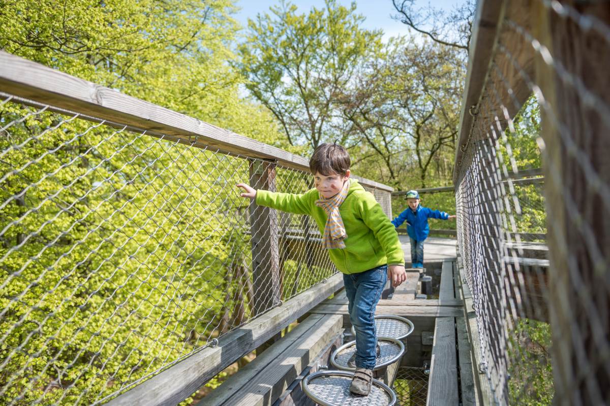 Familienausflüge auf Rügen – Entdecken, was Kinderherzen höherschlagen lässt
